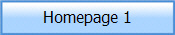 Homepage 1